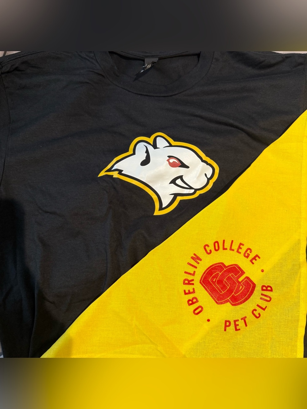 🌟Lot 2 Oberlin College black Tee OC Pet club yellow bandana NWOT white squirrel